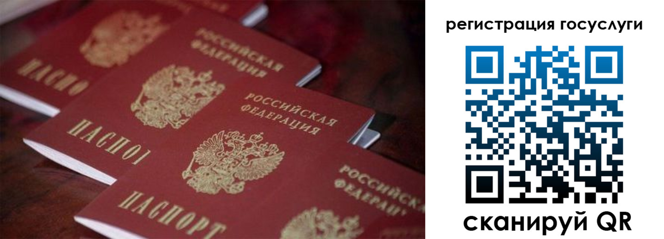 где прописаться в Павловске